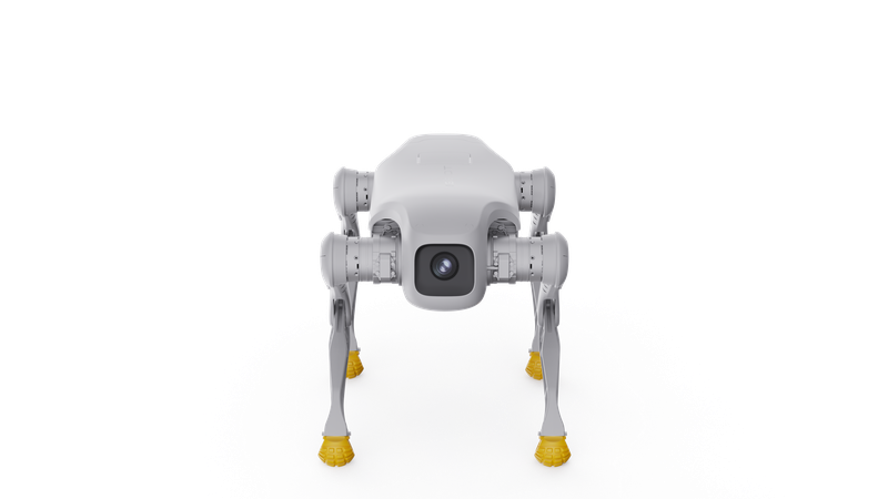 AGIBOT D1 Edu